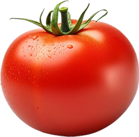 Wojo Gastronomieunternehmen GmbH – gesundes Essen für Kitas, Schulen, Berufsschulen und Betriebskantinen frisch zubereitet – Tomate Tomate